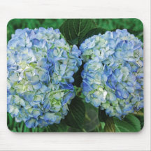 Hortensia