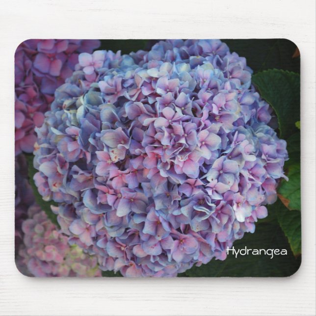 Tapis De Souris Hortensia (Devant)