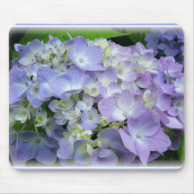 Hortensia