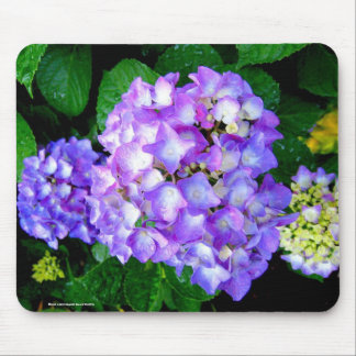 Tapis De Souris Hortensia d'été
