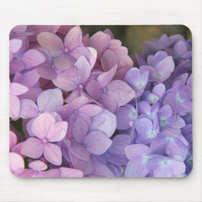 Tapis De Souris Hortensia rose et pourpre Mousepad (Devant)