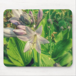 Tapis De Souris Hosta