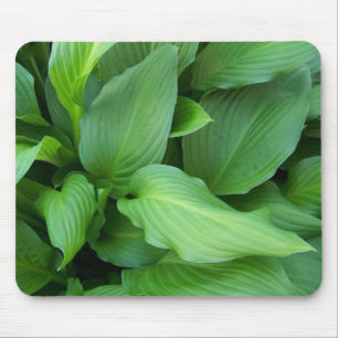 Tapis De Souris Hosta Mousepad