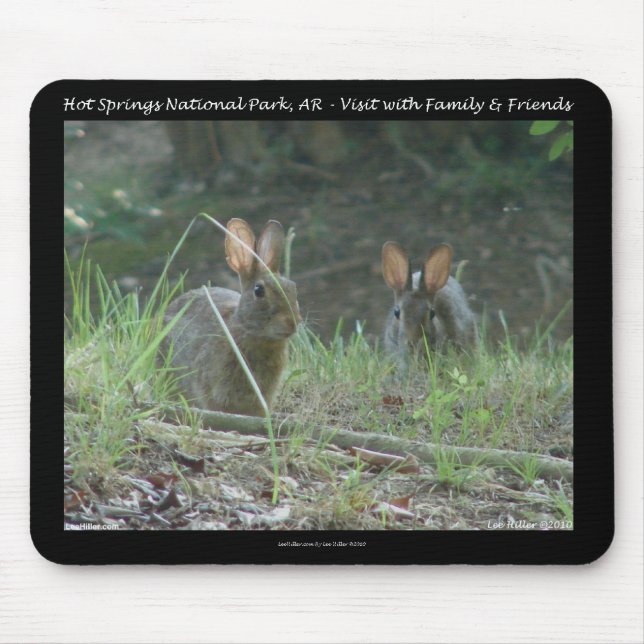 Tapis De Souris Hot Springs National Park, AR Wild Rabbits Cadeaux (Devant)