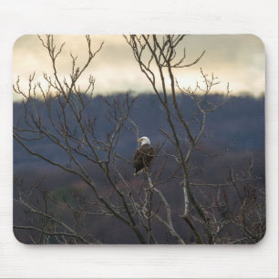 Tapis De Souris Hudson Valley Eagle