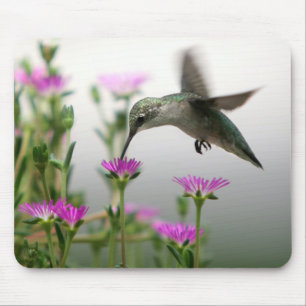 Tapis De Souris Hummingbird feeding