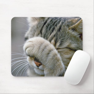 Tapis De Souris Humour de chat tigré