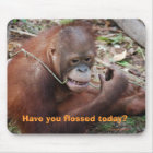 Humour de soins dentaires de dents de soie