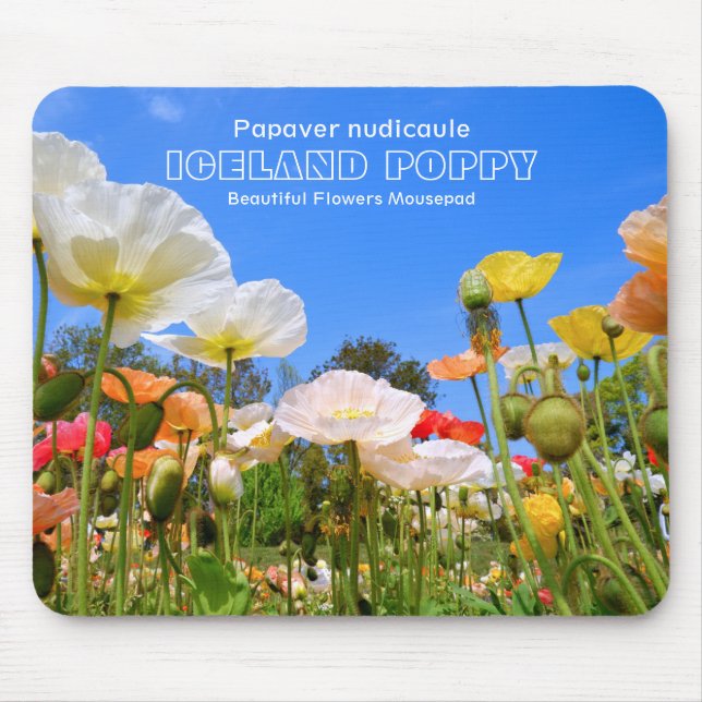 Tapis De Souris Iceland Poppy (Devant)