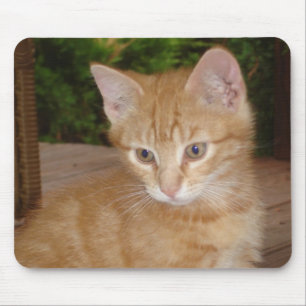 Tapis De Souris Ici, Mousey, Mousey !