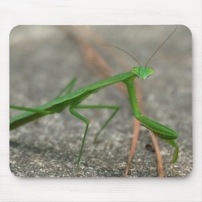 Tapis De Souris Ici vous regarde Mousepad (latéral) (Devant)