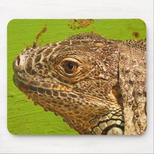 TAPIS DE SOURIS IGUANA