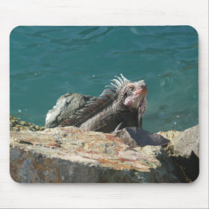 Tapis De Souris Iguana à St Thomas