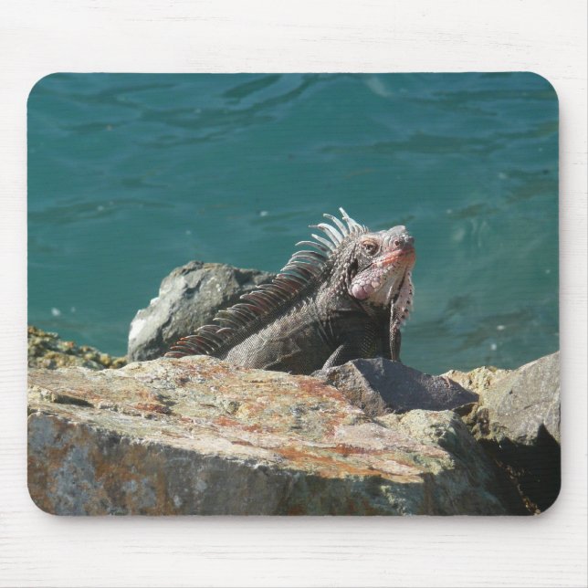 Tapis De Souris Iguana à St Thomas (Devant)