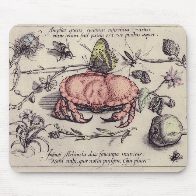 Tapis De Souris Illustration de la fleur d'insectes botaniques du  (Devant)