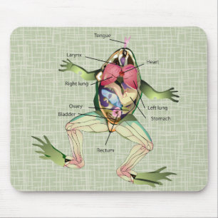Tapis De Souris Illustration de l'anatomie de la grenouille