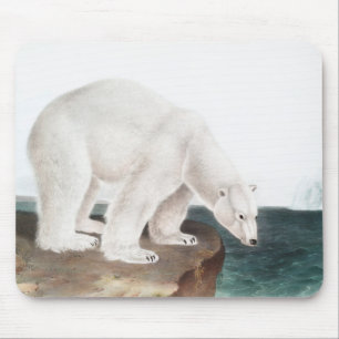 Tapis De Souris Illustration de l'Ours polaire (Ursus maritimus)