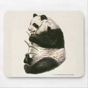Tapis De Souris Illustration de panda géant alimentant sur le