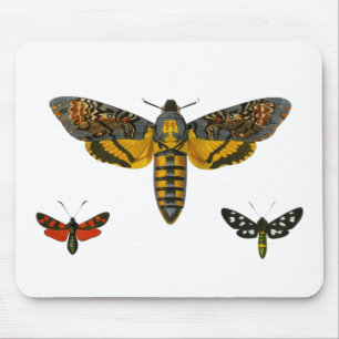 Tapis De Souris Illustration des trois ailes de papillon