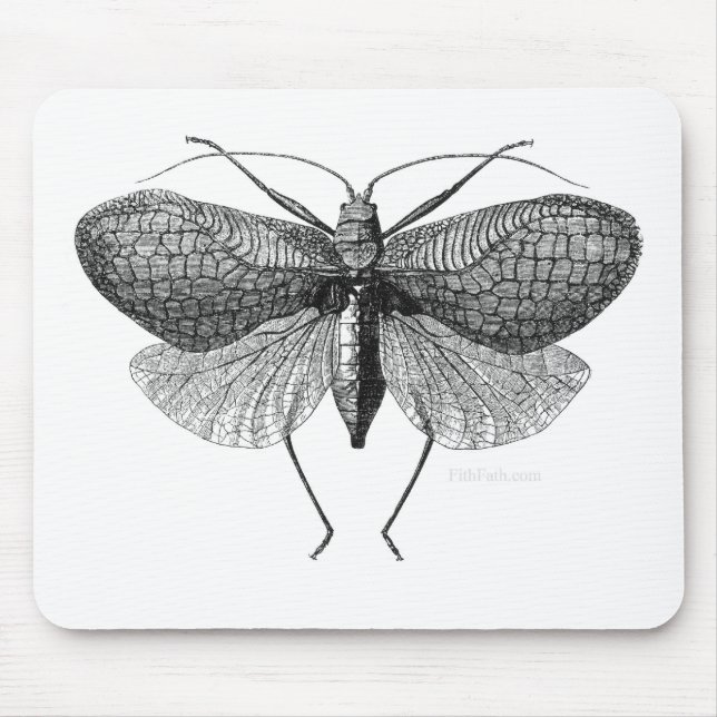 Tapis De Souris illustration scientifique de mite (Devant)