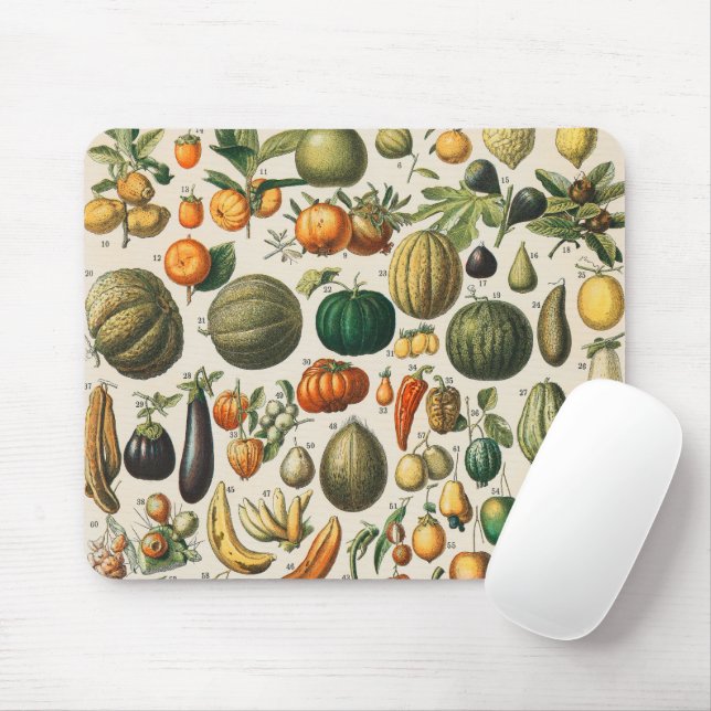 Tapis De Souris Illustration scientifique végétale des fruits (Avec souris)