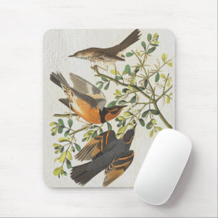Tapis De Souris Illustration vintage Oiseaux Observation d'Oiseaux