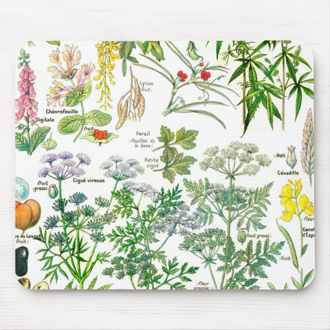 Tapis De Souris Illustrations botaniques - usines de Larousse (Devant)