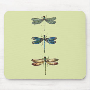 Tapis De Souris Illustrations de libellule