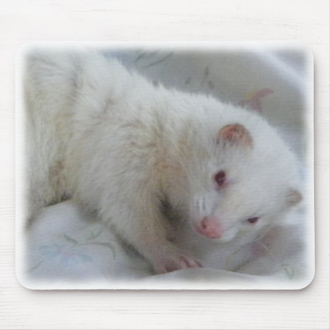Tapis De Souris Image de furet albinos (Devant)