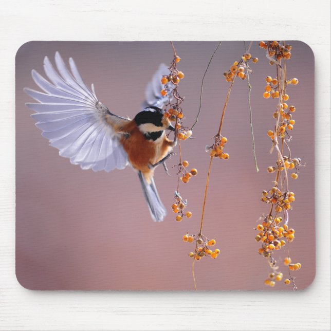 Tapis De Souris Image d'oiseau fantastique / Belle nature (Devant)
