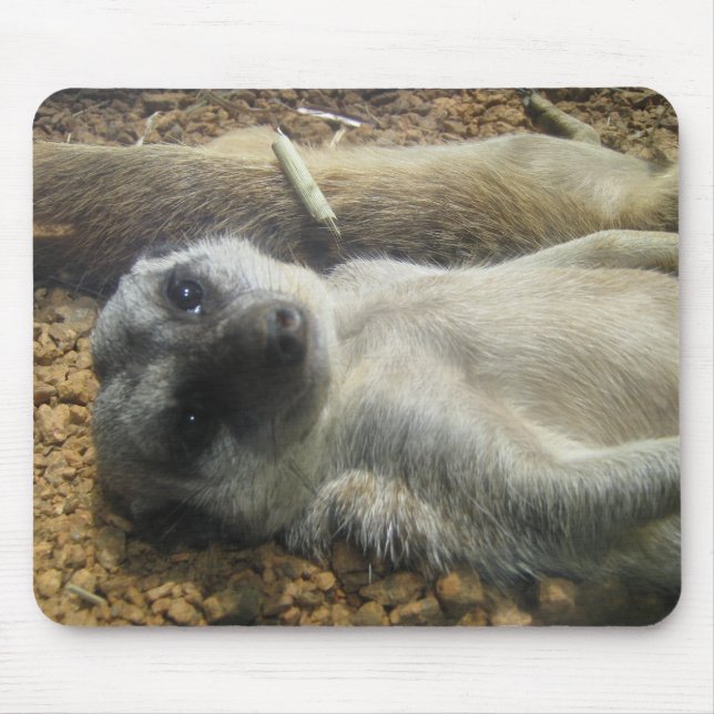 TAPIS DE SOURIS IMG_2196 (Devant)