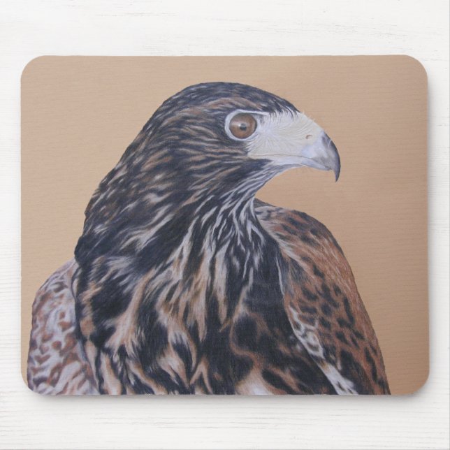 Tapis De Souris Immature Harris Hawk (Devant)