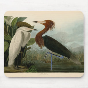 Tapis De Souris Impression de Héron Pourpré d'Audubon : Art d'Oise