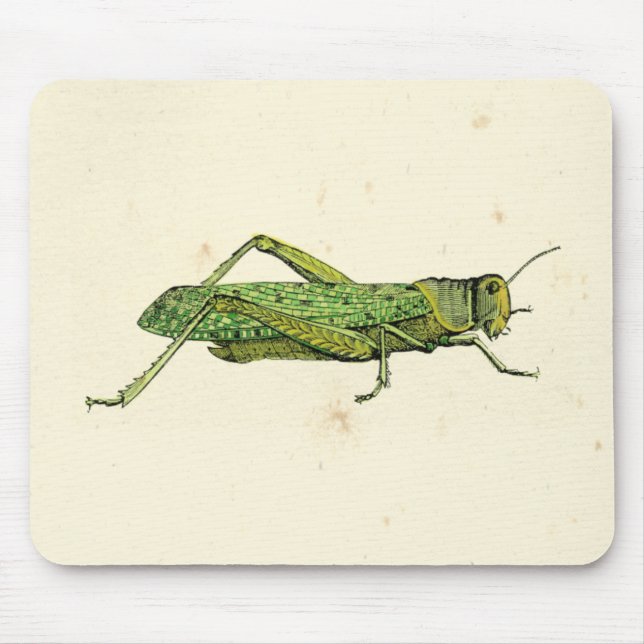 Tapis De Souris Impression encadrée de sauterelles vertes (Devant)