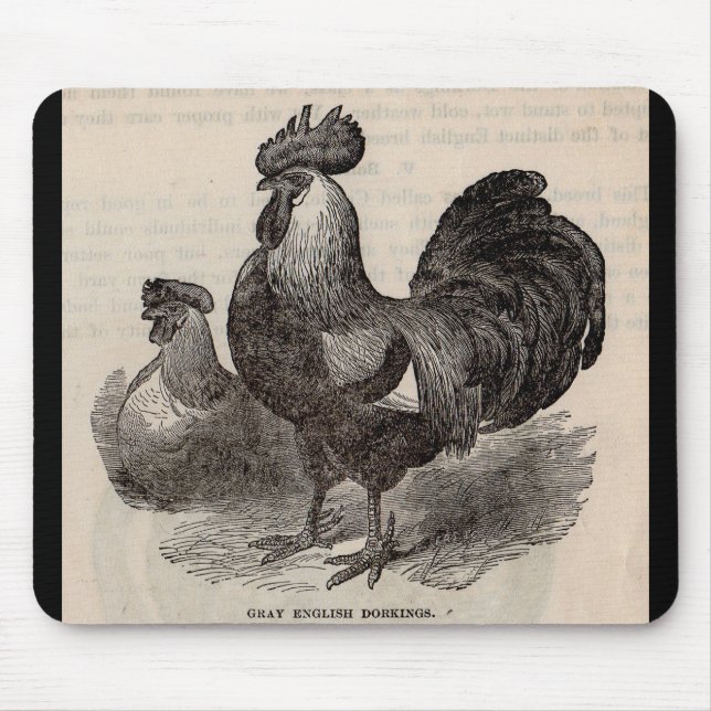 Tapis De Souris imprimé du 19e siècle gris anglais dorkings poulet (Devant)