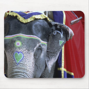 Tapis De Souris Inde, Rajasthan, Jaipur. Fort d'Amber.