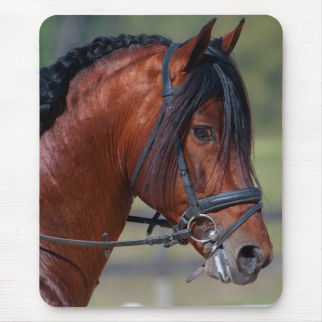 TAPIS DE SOURIS INDICO VII (Devant)