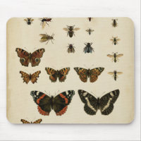 Insectes de jardin par Vision Studio