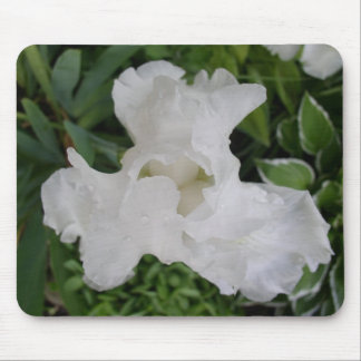 Tapis De Souris Iris blanc