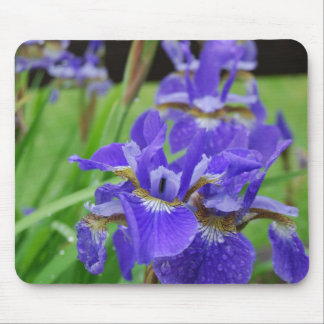 Tapis De Souris Iris dans le jardin