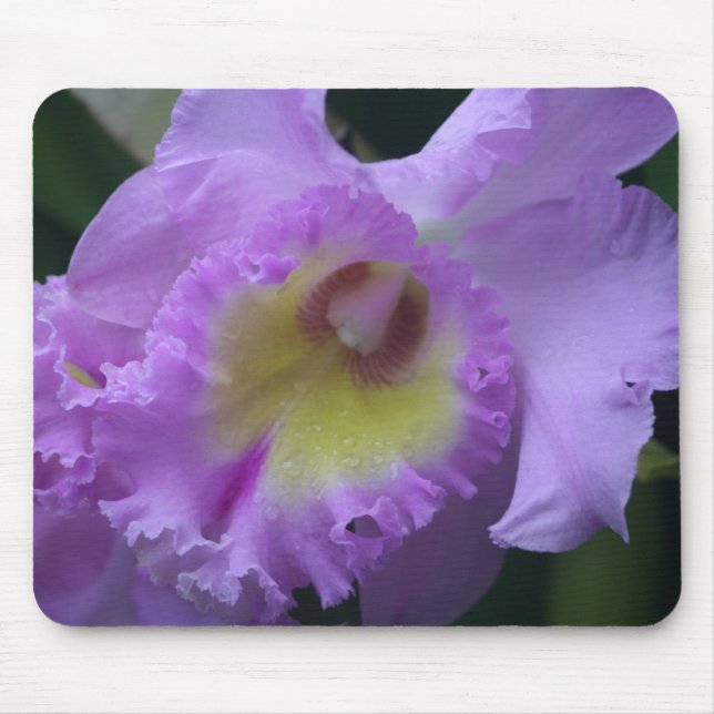 Tapis De Souris Iris Mousepad de Lavendar (Devant)