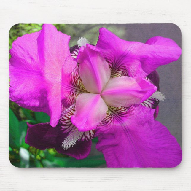 Tapis De Souris Iris rose Mousepad (Devant)