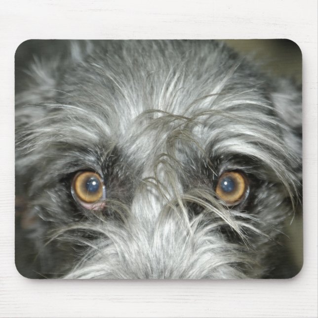 Tapis De Souris irish wolfhound moud pad (Devant)