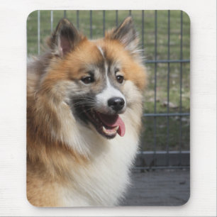 Tapis De Souris Islandhund