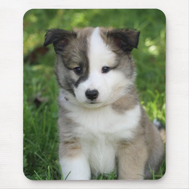 Tapis De Souris Islandhundwelpe Splitface (Devant)