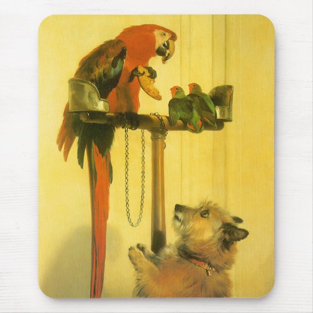 Tapis De Souris Islay, Tilco, un Macaw et des Inséparables de Land (Devant)
