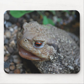Tapis De Souris Jabba le crapaud