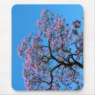 Tapis De Souris Jacaranda