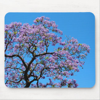 Tapis De Souris Jacaranda