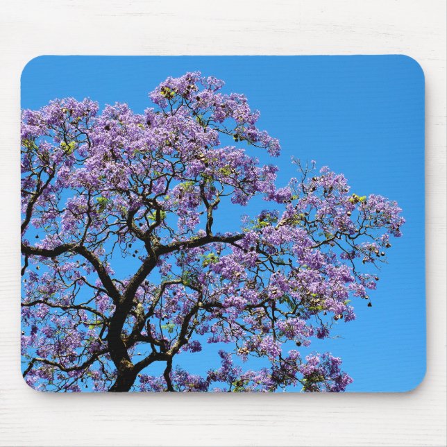 Tapis De Souris Jacaranda (Devant)